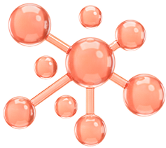 Connect & Collaborate